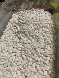 Dilaudid® 8 mg